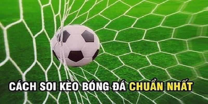 Tại sao cần soi kèo chính xác khi tham gia Net88?